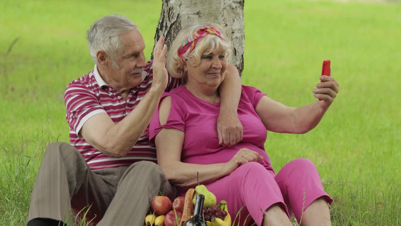Familieweekend picnic. Ældre bedsteforældrepar i park bruger smartphone til online videoopkald.