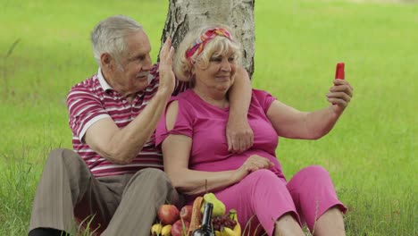 picnic familiar de fin de semana. pareja de abuelos mayores en el parque usando teléfono inteligente llamada de video en línea