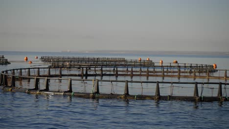 Toma-Panorámica-De-Piscinas-De-Piscifactorías-Al-Aire-Libre-Para-La-Producción-De-Peces-Agrícolas