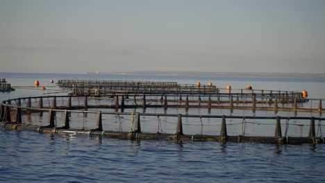 toma panorámica de piscinas de piscifactorías al aire libre para la producción de peces agrícolas