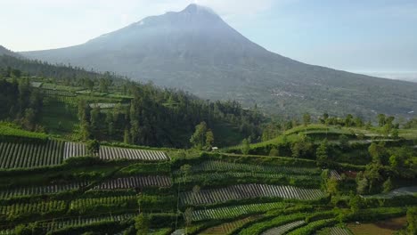 merapi volcano with rural view of plantation that planted with brocolli, cabbage, potatoes and green onions, central java, indonesia