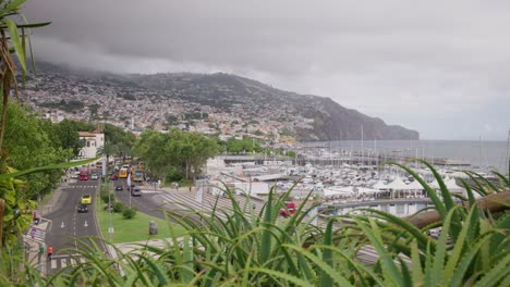 A-scenic-view-of-Funchal's-marina-and-lush-hills-on-a-cloudy-day-in-Madeira