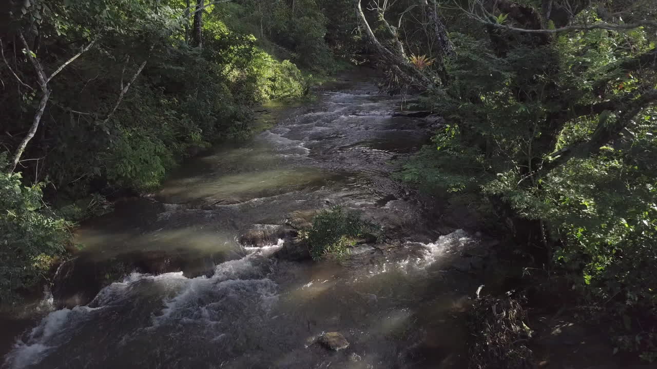 Luftoptagelse over en bæk, der er dækket af træer og grøn vegetation.