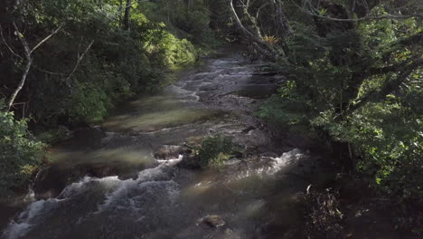 Aerial-shot-over-a-creek-covered-by-trees-and-green-vegetation