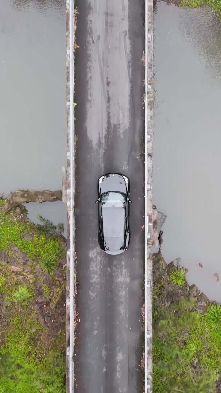 el coche pasa por un puente en un bosque exuberante.