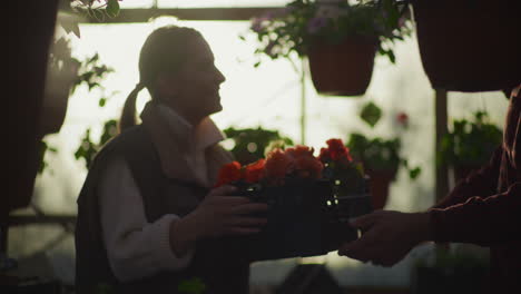 gardener gives woman basket of flower seedlings at sunset