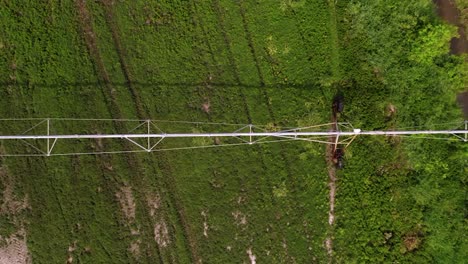 top view of irrigation sprinkler at the greenfield at the farm