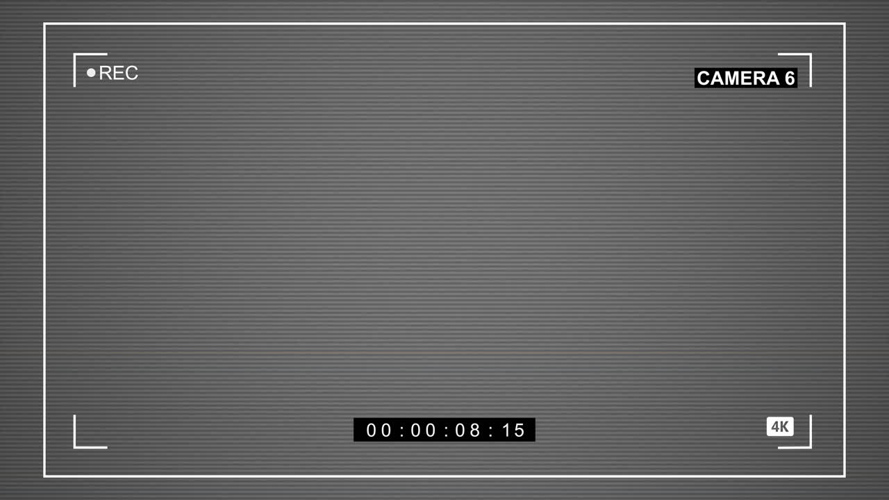Security Camera Recording Screen Interface Overlay