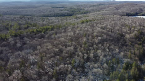 park wide pan árboles toma aérea
