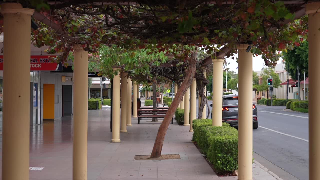 Street-level view of a Moree walkway with vine-covered trellises, yellow columns, trimmed hedges, and parked cars along the road. Quiet regional town atmosphere