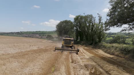 la cosechadora se mueve a través de un campo de cebada dorada, la máquina cosecha lentamente la cosecha madura, con un telón de fondo de colinas verdes bajo un cielo azul claro