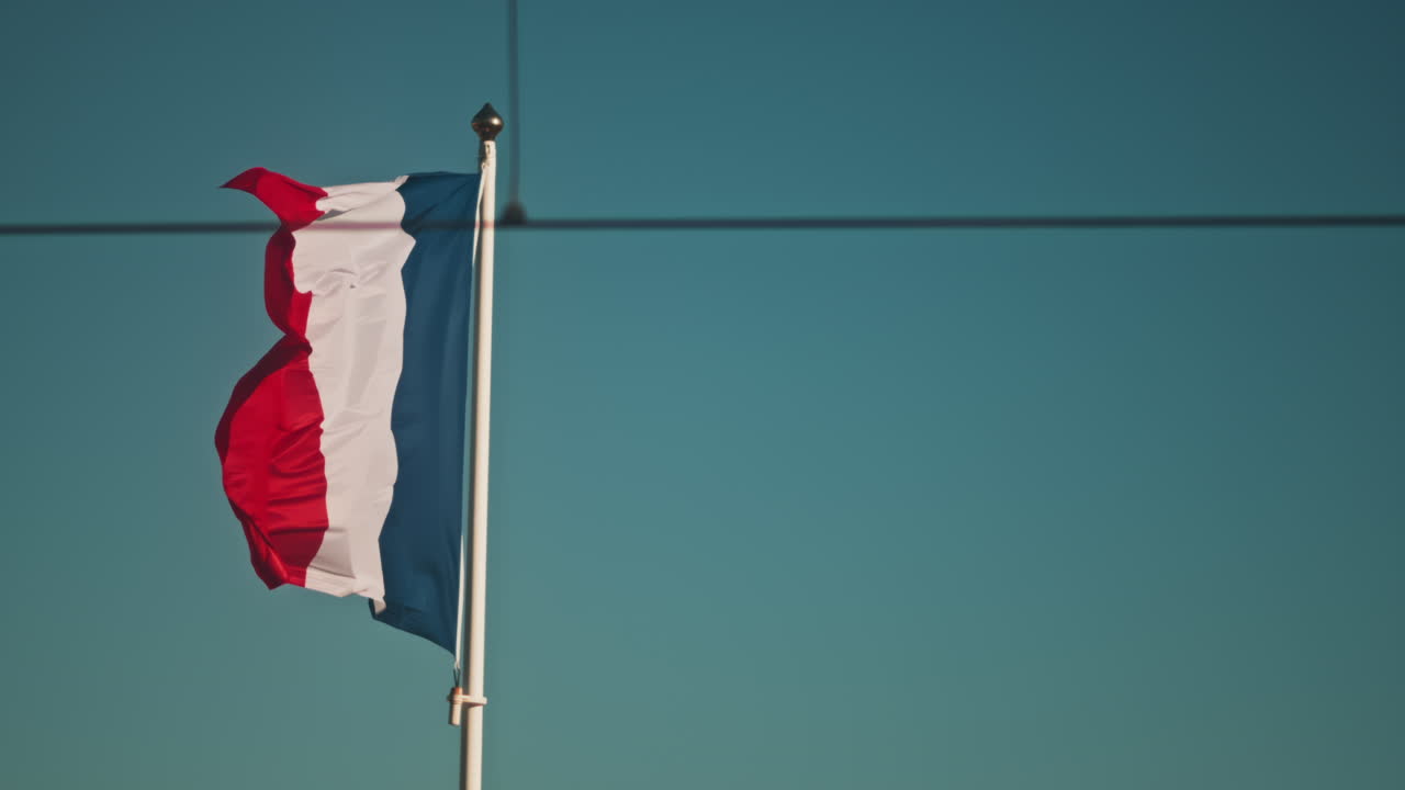Close up of the French flag waving with a palm tree on the background