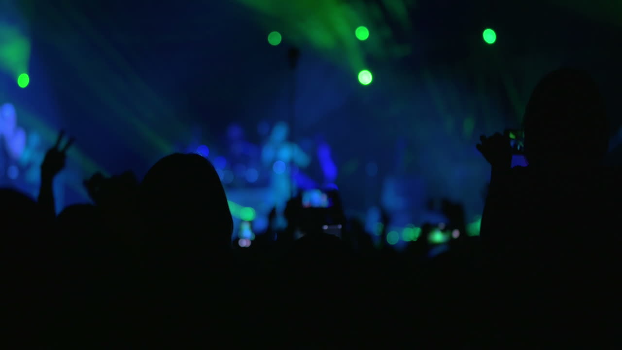 Persone che ascoltano la band musicale al concerto.
