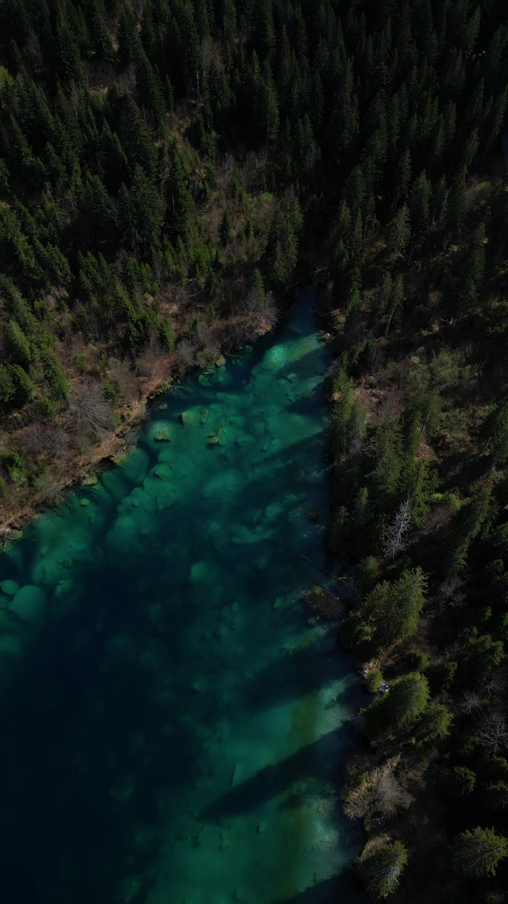 Lake Crestasee in Switzerland Grisons canton Swiss evergreen spruce tree forest, aerial drone