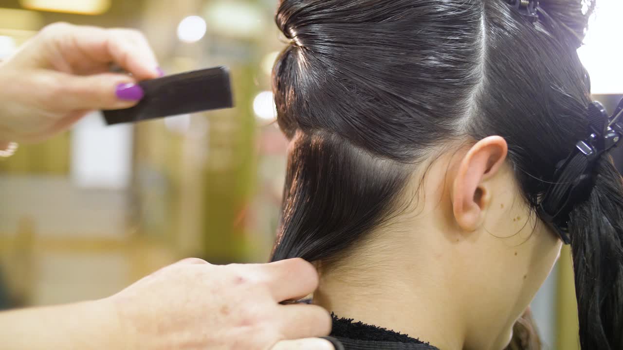 Hairdresser Cutting Long Straight Hair in a Salon