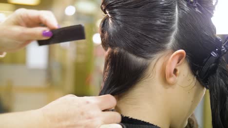 hairdresser cutting long straight hair in a salon