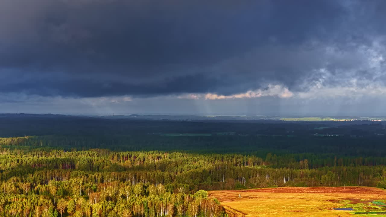 Dark Cloudscape Over Dense Thicket At Sunset. Timelapse