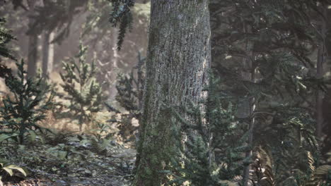 fallen autumn leaves and needles in the autumn pine forest