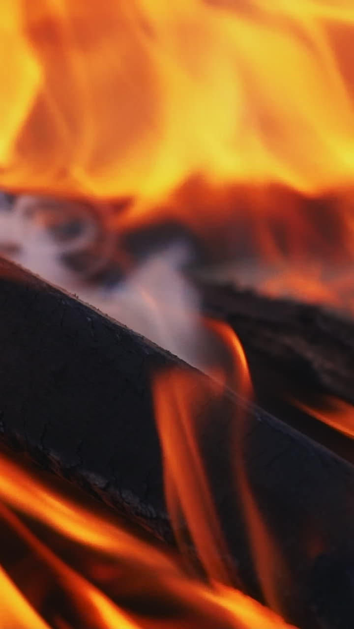 Fire is lit in the night. Bonfire. Slow motion Vertical video