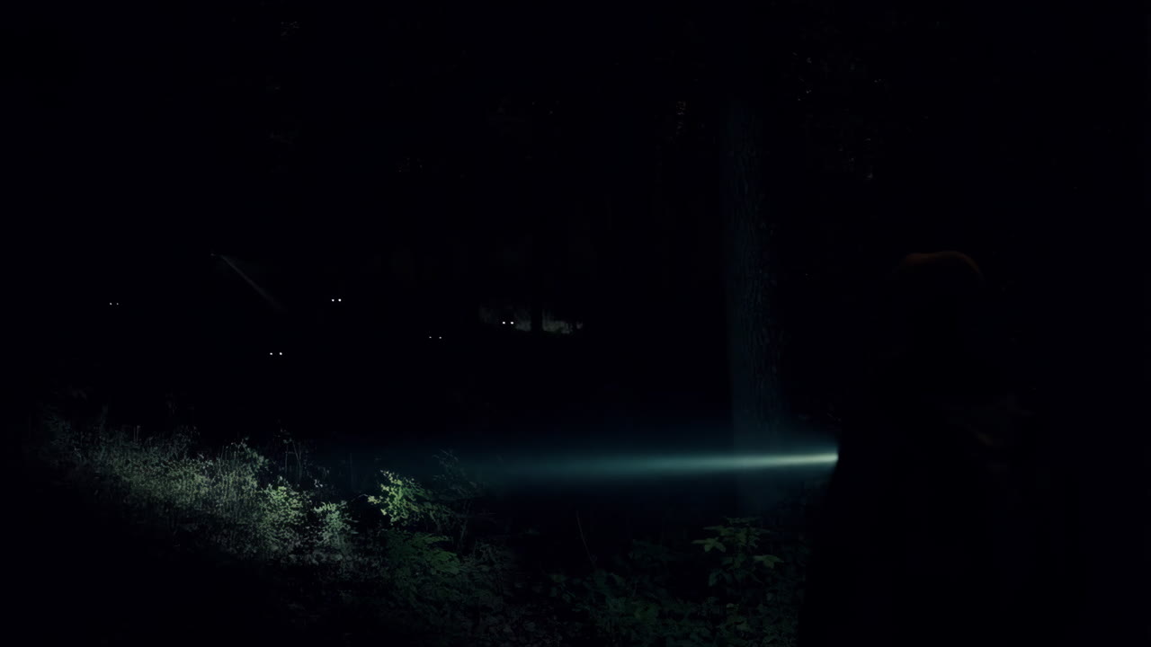 A Person with a Flashlight Encounters Glowing Eyes in a Dark Forest at Night