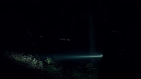 a person with a flashlight encounters glowing eyes in a dark forest at night