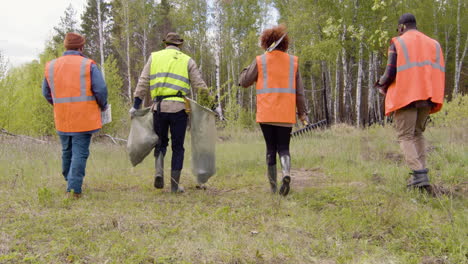 Vista-Trasera-De-Un-Grupo-De-Activistas-Ecologistas-Multiétnicos-Caminando-En-El-Bosque-Mientras-Sostienen-árboles-Y-Herramientas-Para-Reforestar