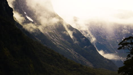 rainforest evaporating in fiordland milford sound, new zealand, timelapse
