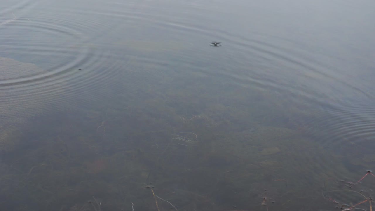 물에 잔물결을 만드는 빗방울