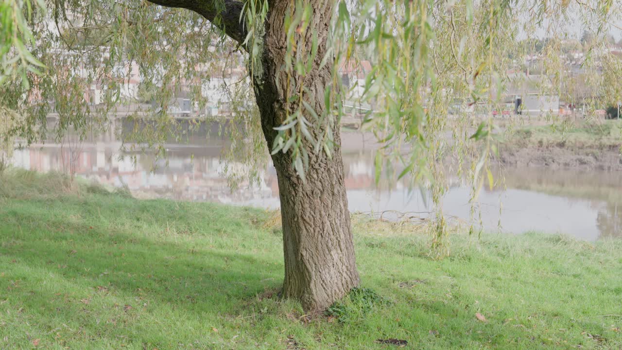 정적 슬로우 모션 샷