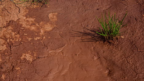 Drying-Cracked-Land-Surface.-Time-lapse