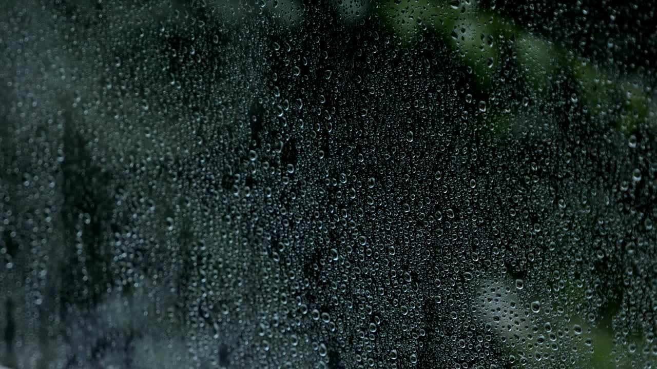 Rain drops on the window on the dark trees background.