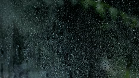 rain drops on the window on the dark trees background.
