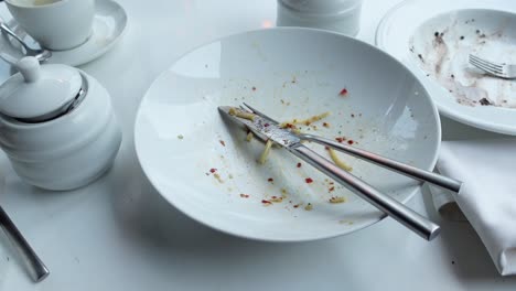 empty plate with utensils