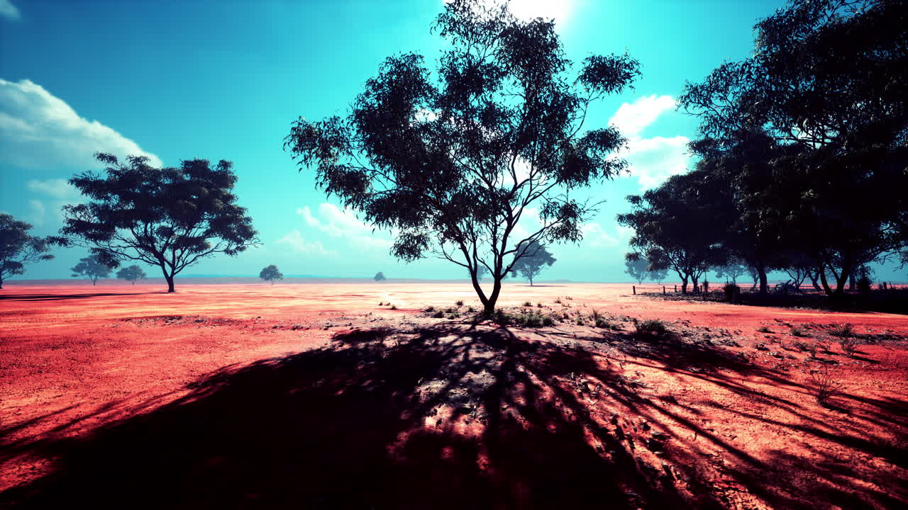 paisaje de sabana africana con árboles de acacia