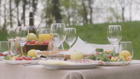 close up of a dining table with variety of food and drinks for an outdoor party in the park