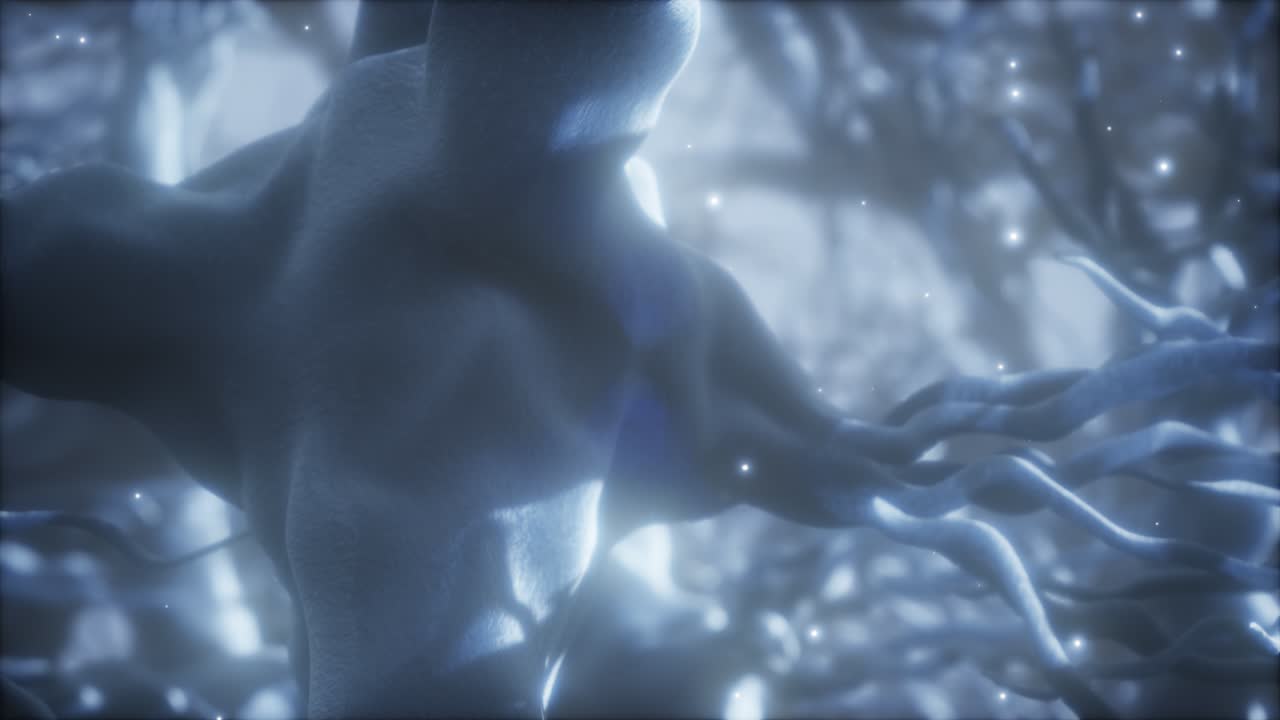 脳内のニューロン細胞ネットワークを通る旅です