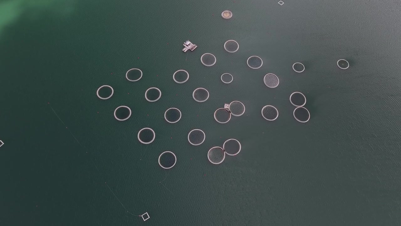 Acquacoltura di pesce sul bacino idrico di Orto-Tokoy, vista aerea dall'alto, Kirghizistan.