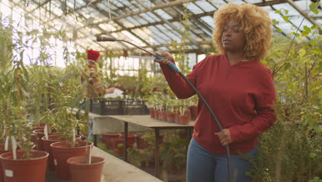 african american woman spraying flowers in greenhouse