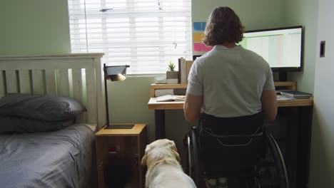 focused caucasian disabled man in wheelchair using computer in bedroom with his pet dog