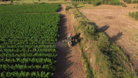 El-Uso-De-Pesticidas-Nocivos-En-Los-Viñedos-Franceses-Es-Un-Problema-Grave,-Con-El-Potencial-De-Causar-Intoxicación-Alimentaria