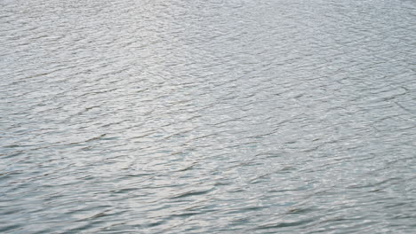 closeup surface of clear water with small ripple waves in lake cloudy day