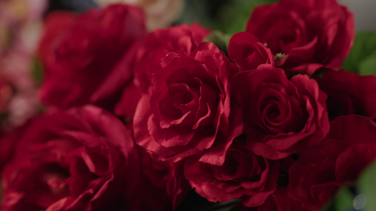 장미 그룹의 근접 촬영 샷 이동