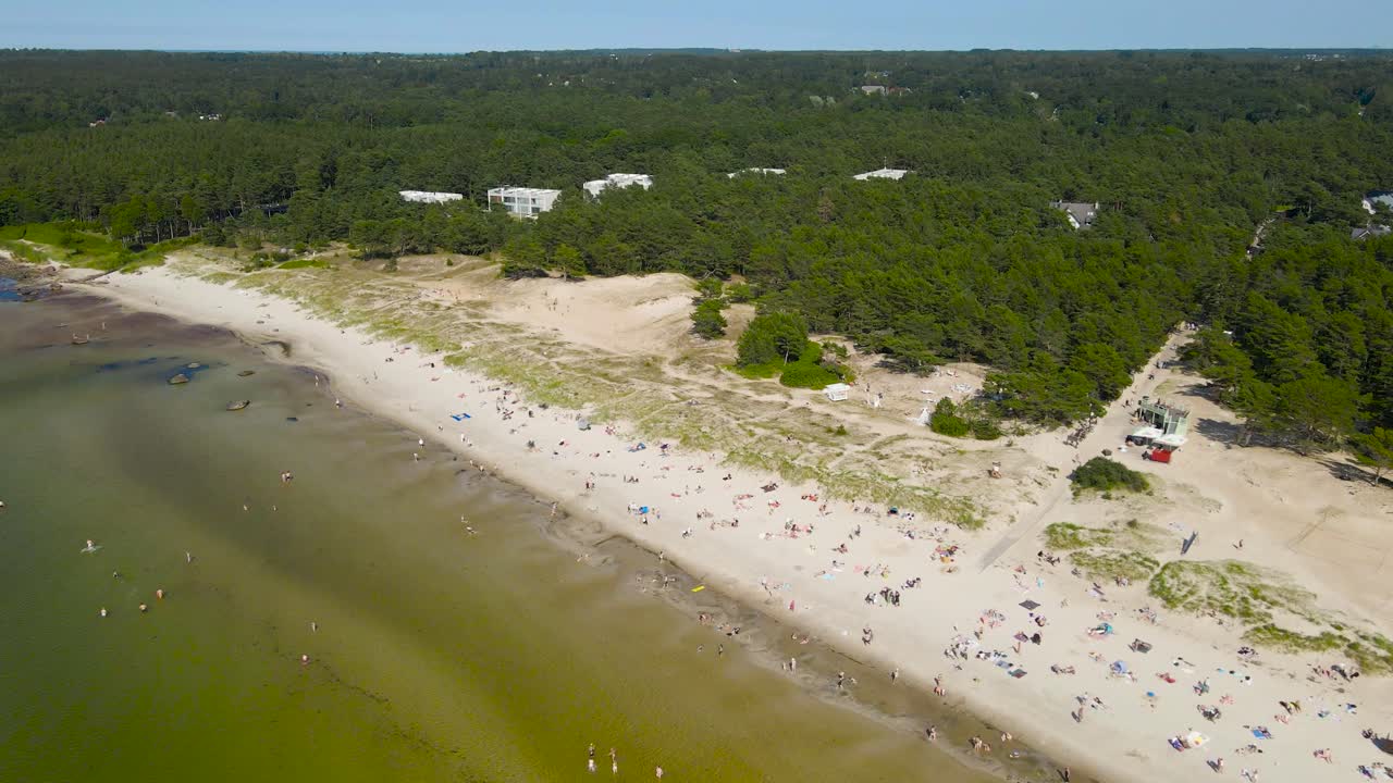 Aerial drone video flying over a sandy and sunny ocean beach seaside shoreline where people are walking, swimming and sunbathing with a large pine tree forest on the shores and horizon visible at back