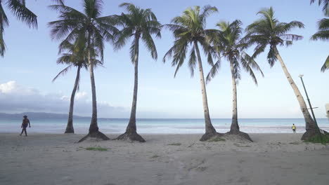 dolly in shot towards palm trees during a sunny day in the white sands of boracay