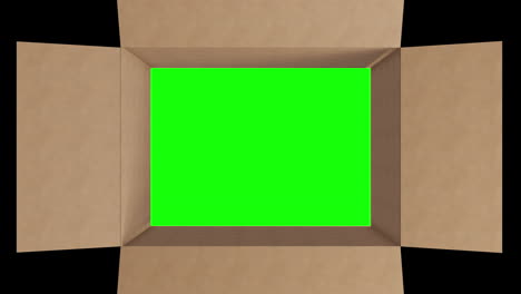 overhead of green screen in brown cardboard box with lid opening on black background