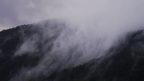 timelapse shot of a large group of mist