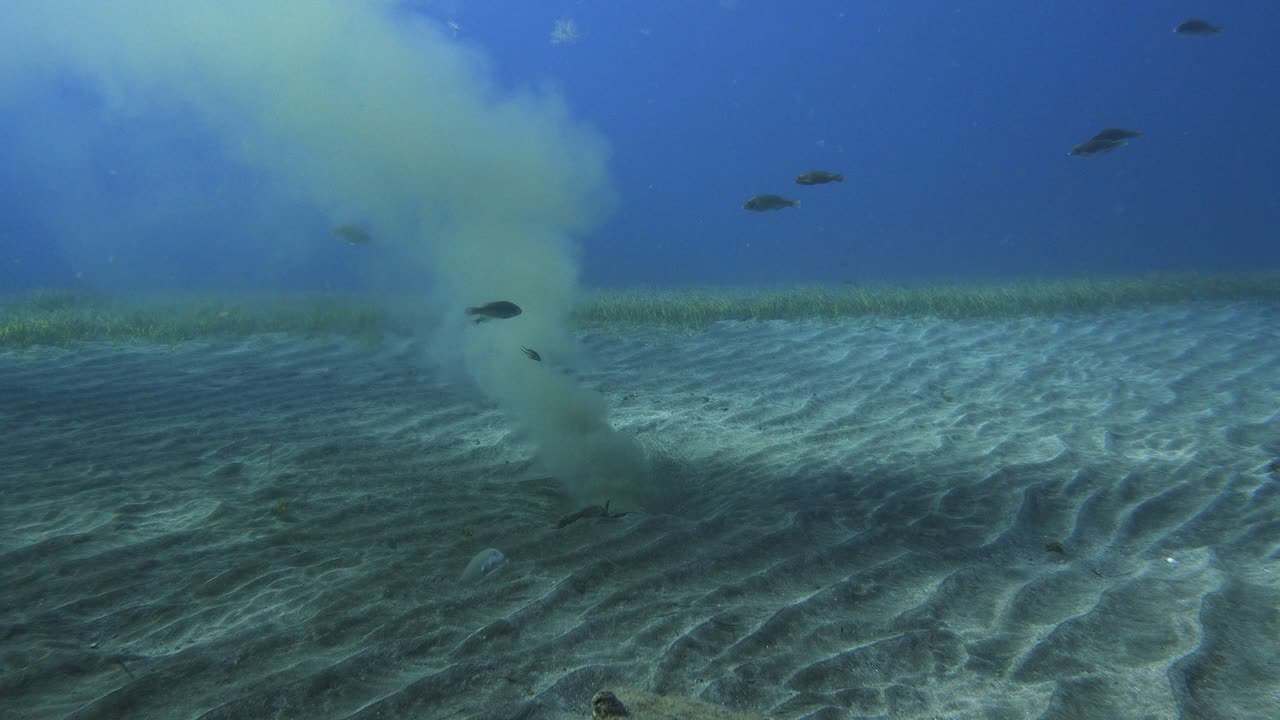 Slow camera approach to an active underwater outfall pipe discharging wastewater into the ocean over a Cymodocea nodosa meadow