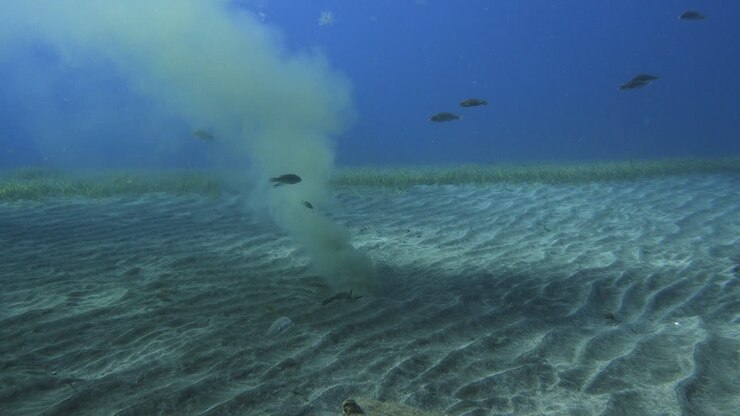 Slow camera approach to an active underwater outfall pipe discharging wastewater into the ocean over a Cymodocea nodosa meadow