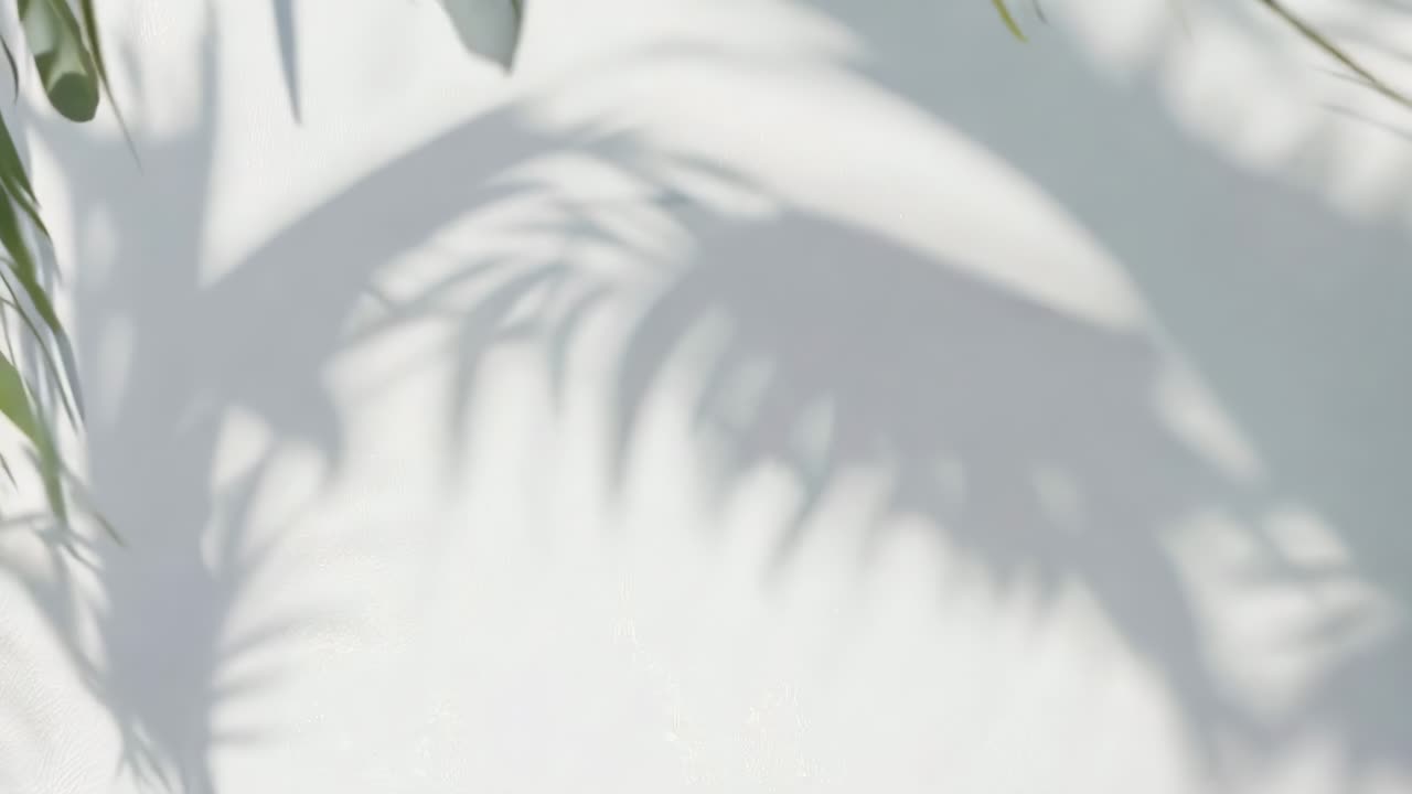 Soft focus video of palm leaf shadows on a white wall, creating a serene, tropical atmosphere
