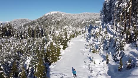 Mann-Steht-Im-Tiefschnee-Auf-Vancouver-Island,-Kanada